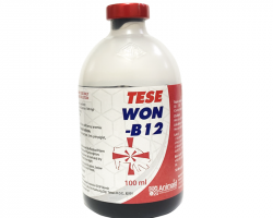  TESWON -B12